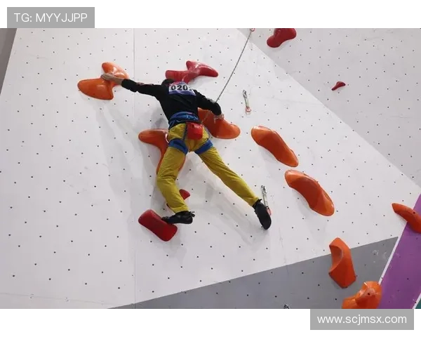 攀岩之巅：深入解析上海攀岩队的实力与成就